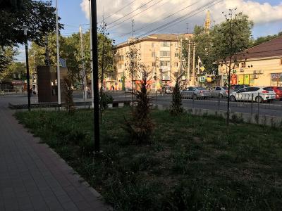 Прикрепленное изображение: IMG_1212.JPG